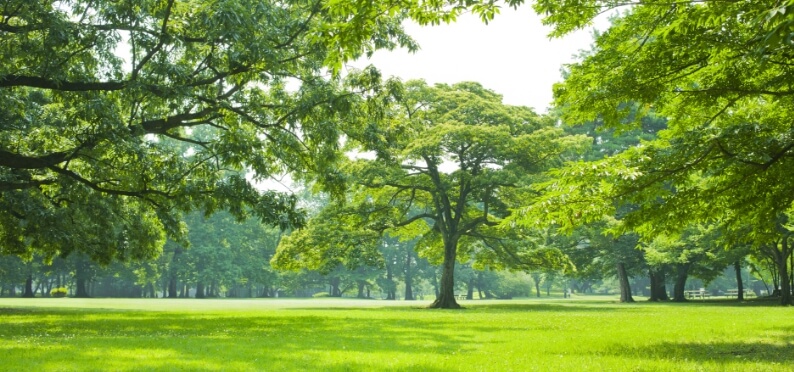 ほぼ仕上がりそのままのサンプルでイメージを共有