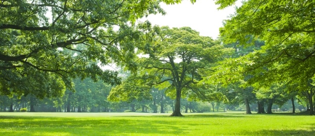 ほぼ仕上がりそのままのサンプルでイメージを共有