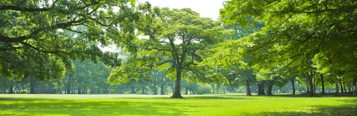 徹底した品質管理・環境への取り組み