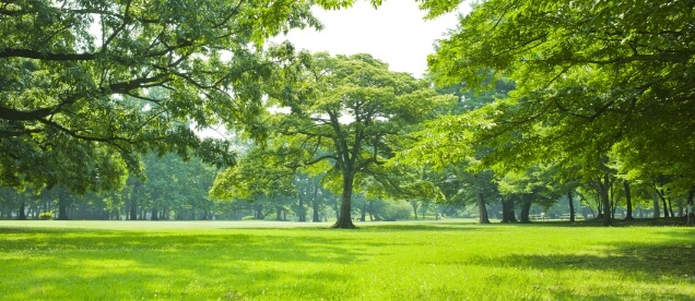 徹底した品質管理・環境への取り組み
